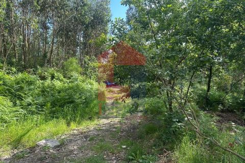 Helårsgrund i Vila Verde, Braga, Vila Verde - € 20.000 | Ref: 08625 - foto 15