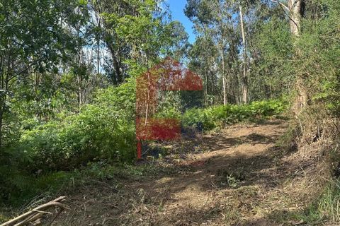 Helårsgrund i Vila Verde, Braga, Vila Verde - € 20.000 | Ref: 08625 - foto 16