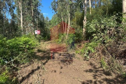 Helårsgrund i Vila Verde, Braga, Vila Verde - € 20.000 | Ref: 08625 - foto 19