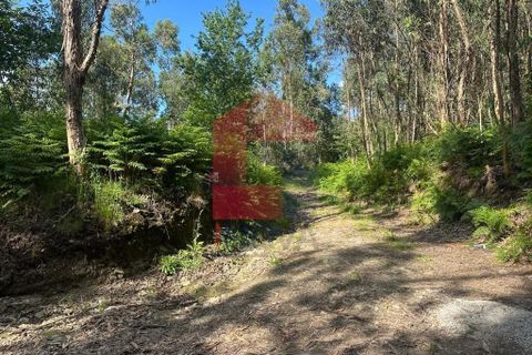 Helårsgrund i Vila Verde, Braga, Vila Verde - € 20.000 | Ref: 08625 - foto 20