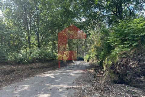 Helårsgrund i Vila Verde, Braga, Vila Verde - € 20.000 | Ref: 08625 - foto 22