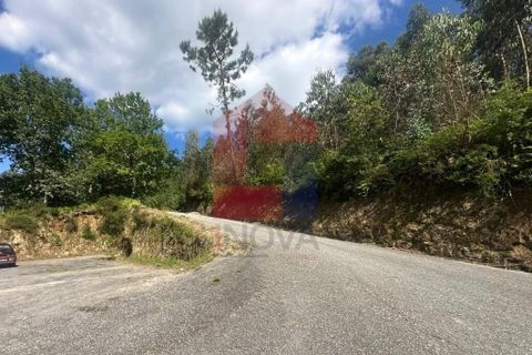 Helårsgrund i Vila Verde, Braga, Vila Verde - € 20.000 | Ref: 08625 - foto 24