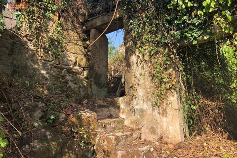 Terra a Condeixa-a-Nova, Coimbra, Condeixa-a-Nova - € 25.000 | Ref: 5518U - foto 2