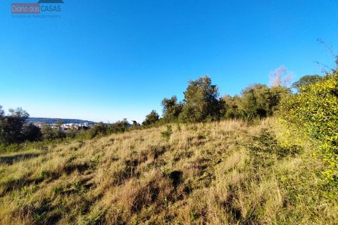 Helårsgrund i Coimbra, Coimbra, Coimbra - € 130.000 | Ref: 5280N - foto 6
