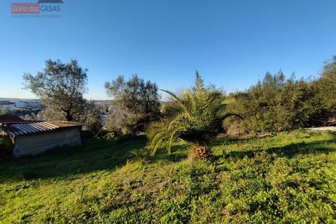 Helårsgrund i Coimbra, Coimbra, Coimbra - € 130.000 | Ref: 5280N - foto 5