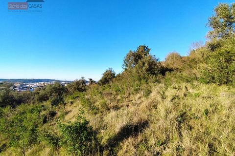 Helårsgrund i Coimbra, Coimbra, Coimbra - € 130.000 | Ref: 5280N - foto 4