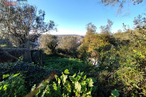 Helårsgrund i Coimbra, Coimbra, Coimbra - € 130.000 | Ref: 5280N - foto 11