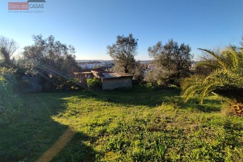Helårsgrund i Coimbra, Coimbra, Coimbra - € 130.000 | Ref: 5280N - foto 12