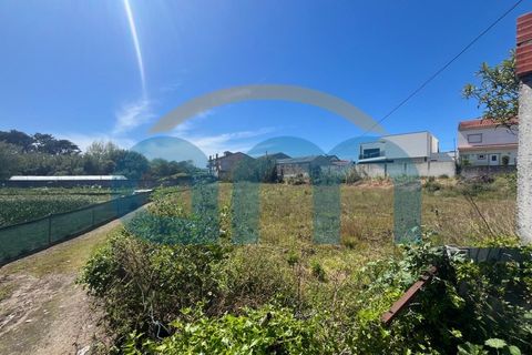 Helårsgrund i Apulia, Braga, Apulia - € 170.000 | Ref: REF AM_1054 - foto 3