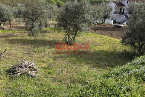 Helårsgrund i Viseu, Viseu, Viseu - € 52.500 | Ref: 189252104 - foto 2