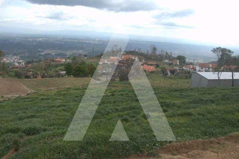 Farm i Guardao, Viseu, Guardao - € 110.000 | Ref: 1180546/25VS - foto 7