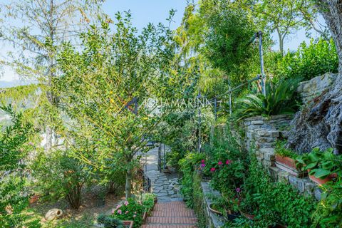 Villa a Vallebona, Imperia, Vallebona - € 390.000 | Ref: 13947 - foto 11