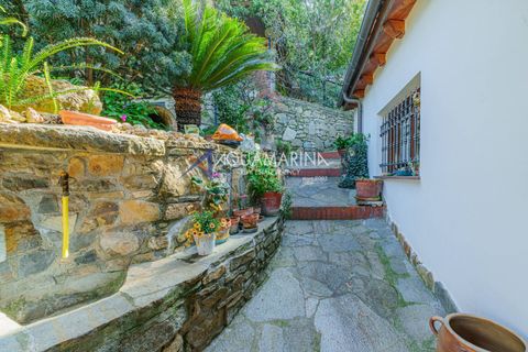 Villa a Vallebona, Imperia, Vallebona - € 390.000 | Ref: 13947 - foto 15