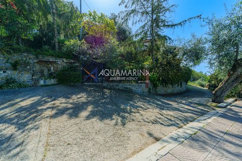 Villa a Vallebona, Imperia, Vallebona - € 390.000 | Ref: 13947 - foto 16