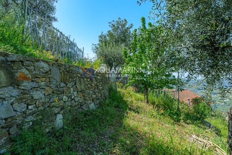 Villa a Vallebona, Imperia, Vallebona - € 390.000 | Ref: 13947 - foto 39