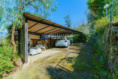 Villa a Vallebona, Imperia, Vallebona - € 390.000 | Ref: 13947 - foto 41