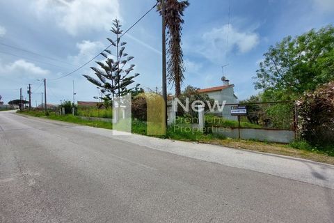 Villa i Sesimbra, Setubal, Sesimbra - € 350.000 | Ref: SB056 - foto 31