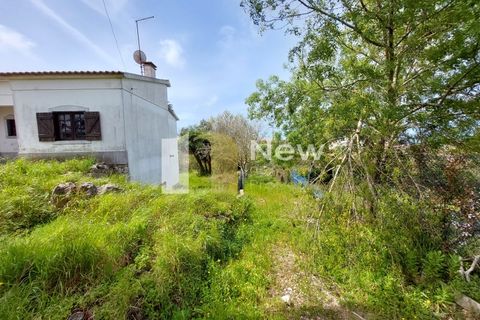 Villa i Sesimbra, Setubal, Sesimbra - € 350.000 | Ref: SB056 - foto 43