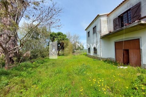 Villa i Sesimbra, Setubal, Sesimbra - € 350.000 | Ref: SB056 - foto 48