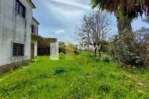 Villa i Sesimbra, Setubal, Sesimbra - € 350.000 | Ref: SB056 - foto 49