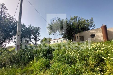 Granja a Estoi, Faro, Estoi - € 1.050.000 | Ref: 022250024 - foto 2