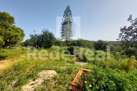 Granja a Estoi, Faro, Estoi - € 1.050.000 | Ref: 022250024 - foto 16