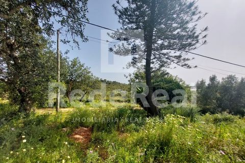 Granja a Estoi, Faro, Estoi - € 1.050.000 | Ref: 022250024 - foto 17