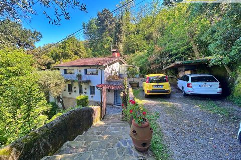 Villa i Pietrasanta, Lucca, Pietrasanta - € 650.000 | Ref: fdm531 - foto 2