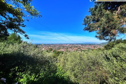 Villa i Pietrasanta, Lucca, Pietrasanta - € 650.000 | Ref: fdm531 - foto 3