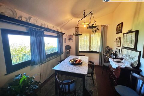 Villa i Pietrasanta, Lucca, Pietrasanta - € 650.000 | Ref: fdm531 - foto 15