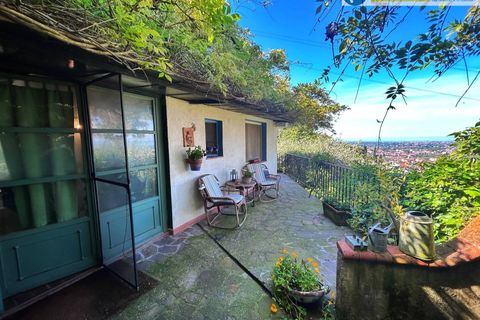 Villa i Pietrasanta, Lucca, Pietrasanta - € 650.000 | Ref: fdm531 - foto 26