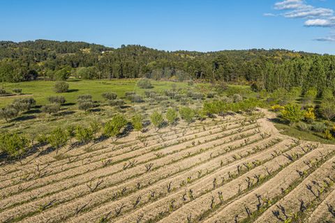 Helårsgrund i Valpacos, Vila Real, Valpacos - € 44.250 | Ref: 126381014-37 - foto 7