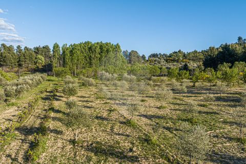Helårsgrund i Valpacos, Vila Real, Valpacos - € 44.250 | Ref: 126381014-37 - foto 11