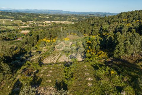 Helårsgrund i Valpacos, Vila Real, Valpacos - € 10.250 | Ref: 126381014-38 - foto 4