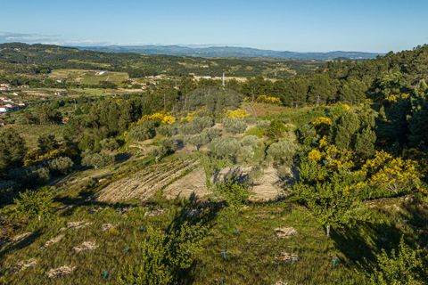 Helårsgrund i Valpacos, Vila Real, Valpacos - € 10.250 | Ref: 126381014-38 - foto 6