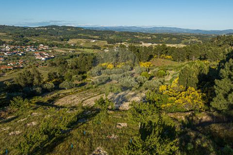 Helårsgrund i Valpacos, Vila Real, Valpacos - € 10.250 | Ref: 126381014-38 - foto 7