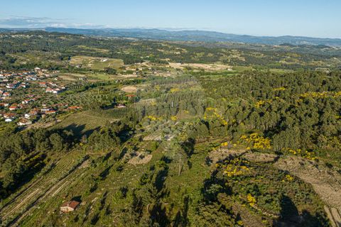 Helårsgrund i Valpacos, Vila Real, Valpacos - € 10.250 | Ref: 126381014-38 - foto 10