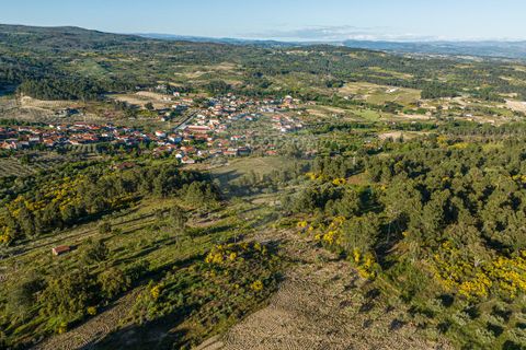 Helårsgrund i Valpacos, Vila Real, Valpacos - € 10.250 | Ref: 126381014-38 - foto 11