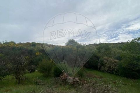 Helårsgrund i Valpacos, Vila Real, Valpacos - € 14.250 | Ref: 126381014-39 - foto 8