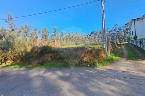 Helårsgrund i Valenca, Viana do Castelo, Valenca - € 49.500 | Ref: 123331212-62 - foto 12