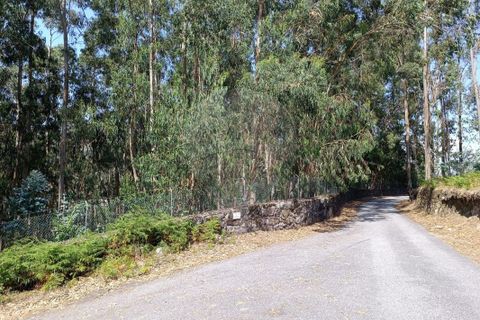 Helårsgrund i Vila Verde, Braga, Vila Verde - € 138.000 | Ref: 123331184-1 - foto 5