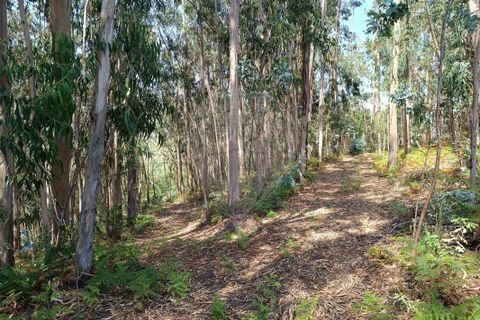 Helårsgrund i Vila Verde, Braga, Vila Verde - € 138.000 | Ref: 123331184-1 - foto 7