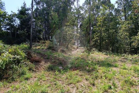 Helårsgrund i Vila Verde, Braga, Vila Verde - € 138.000 | Ref: 123331184-1 - foto 17