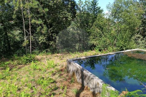 Helårsgrund i Vila Verde, Braga, Vila Verde - € 138.000 | Ref: 123331184-1 - foto 8
