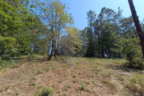 Helårsgrund i Vila Verde, Braga, Vila Verde - € 138.000 | Ref: 123331184-1 - foto 13