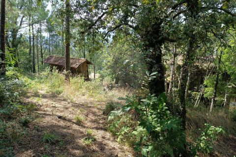 Helårsgrund i Vila Verde, Braga, Vila Verde - € 138.000 | Ref: 123331184-1 - foto 15