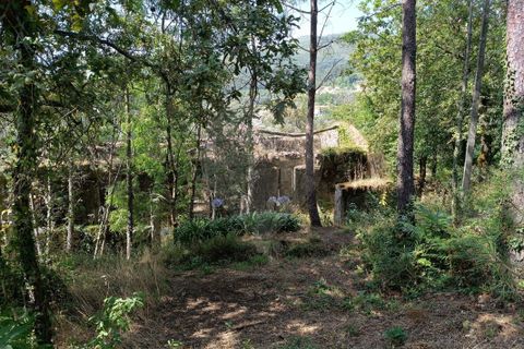 Helårsgrund i Vila Verde, Braga, Vila Verde - € 138.000 | Ref: 123331184-1 - foto 16