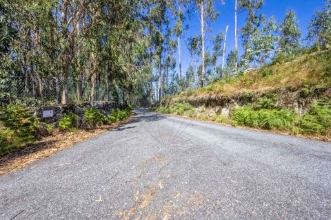 Helårsgrund i Vila Verde, Braga, Vila Verde - € 138.000 | Ref: 123331184-1 - foto 4