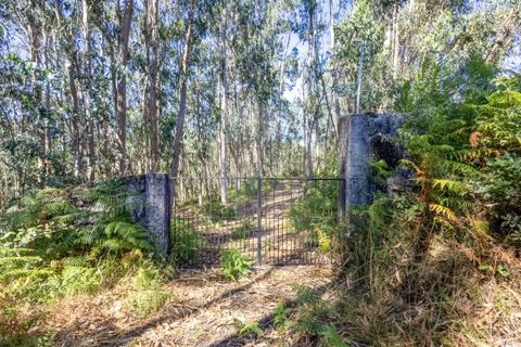 Helårsgrund i Vila Verde, Braga, Vila Verde - € 138.000 | Ref: 123331184-1 - foto 6