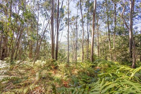 Helårsgrund i Vila Verde, Braga, Vila Verde - € 138.000 | Ref: 123331184-1 - foto 11